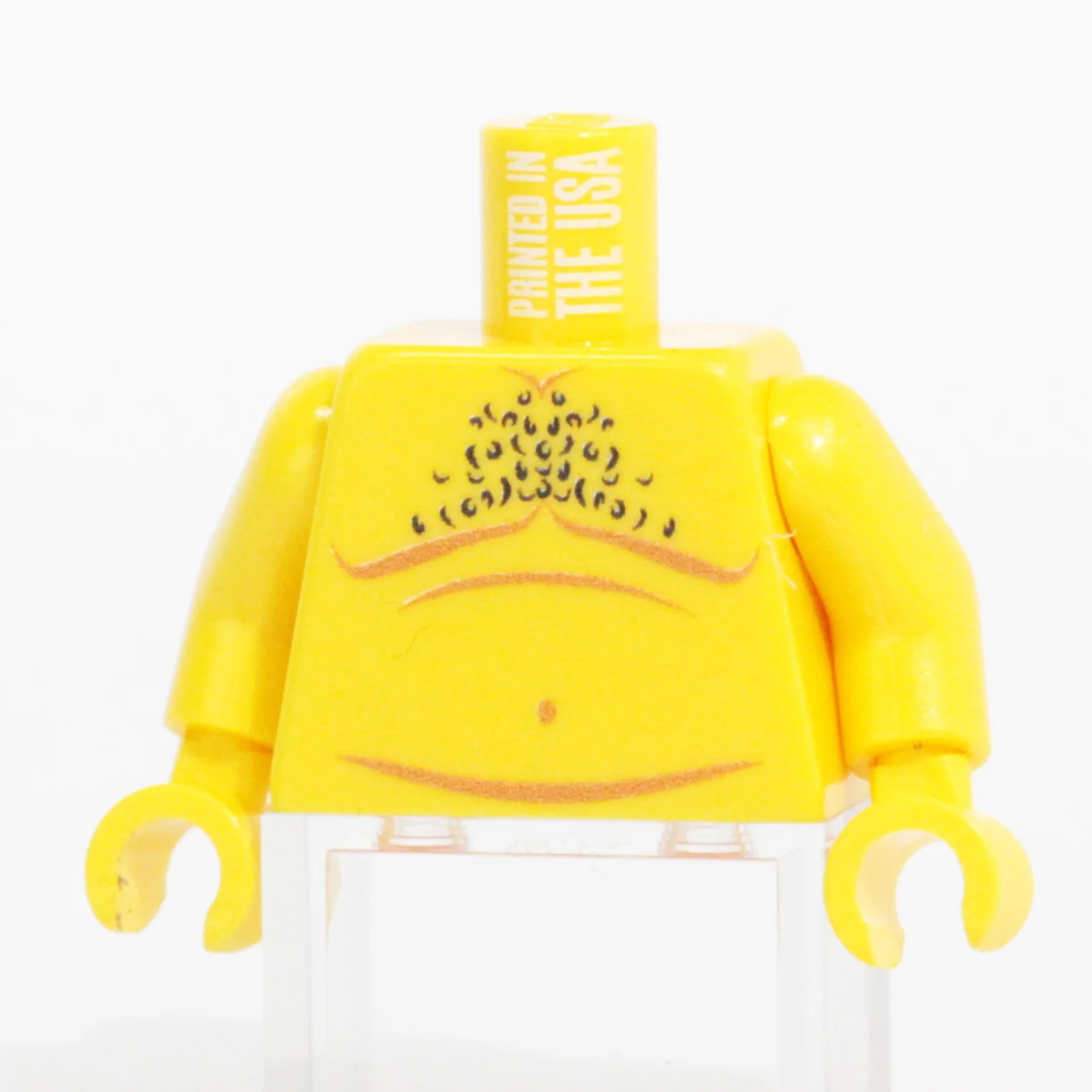 Dad Bod Torso