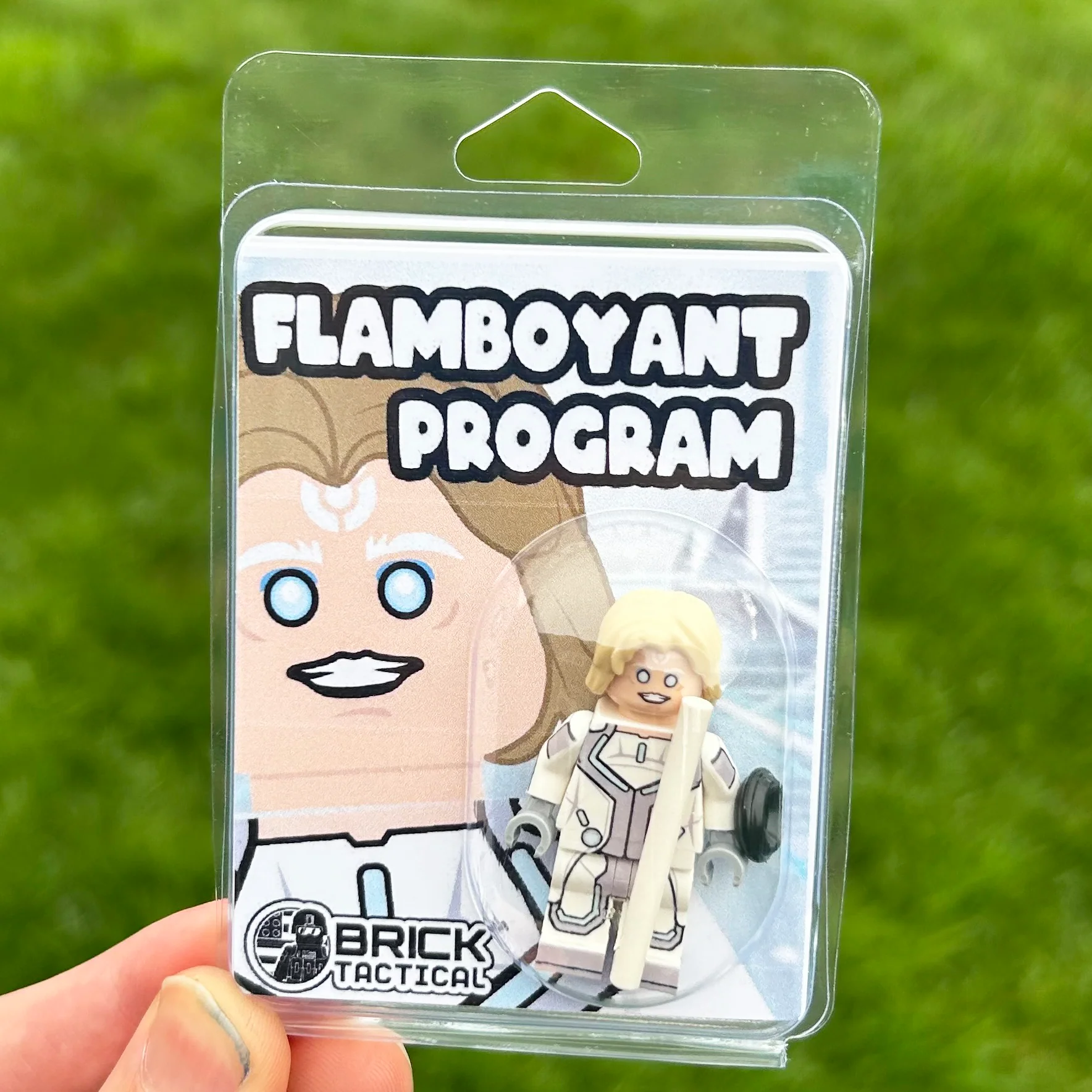 Flamboyant Program - Image 3