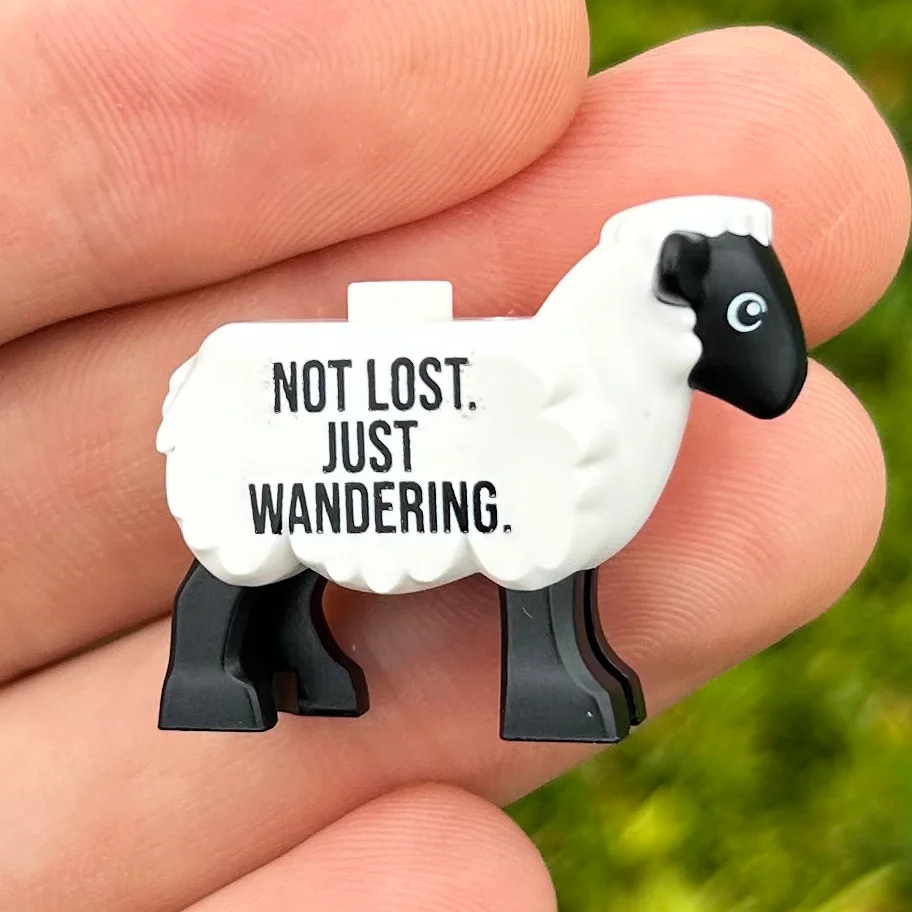 Holy Sheep