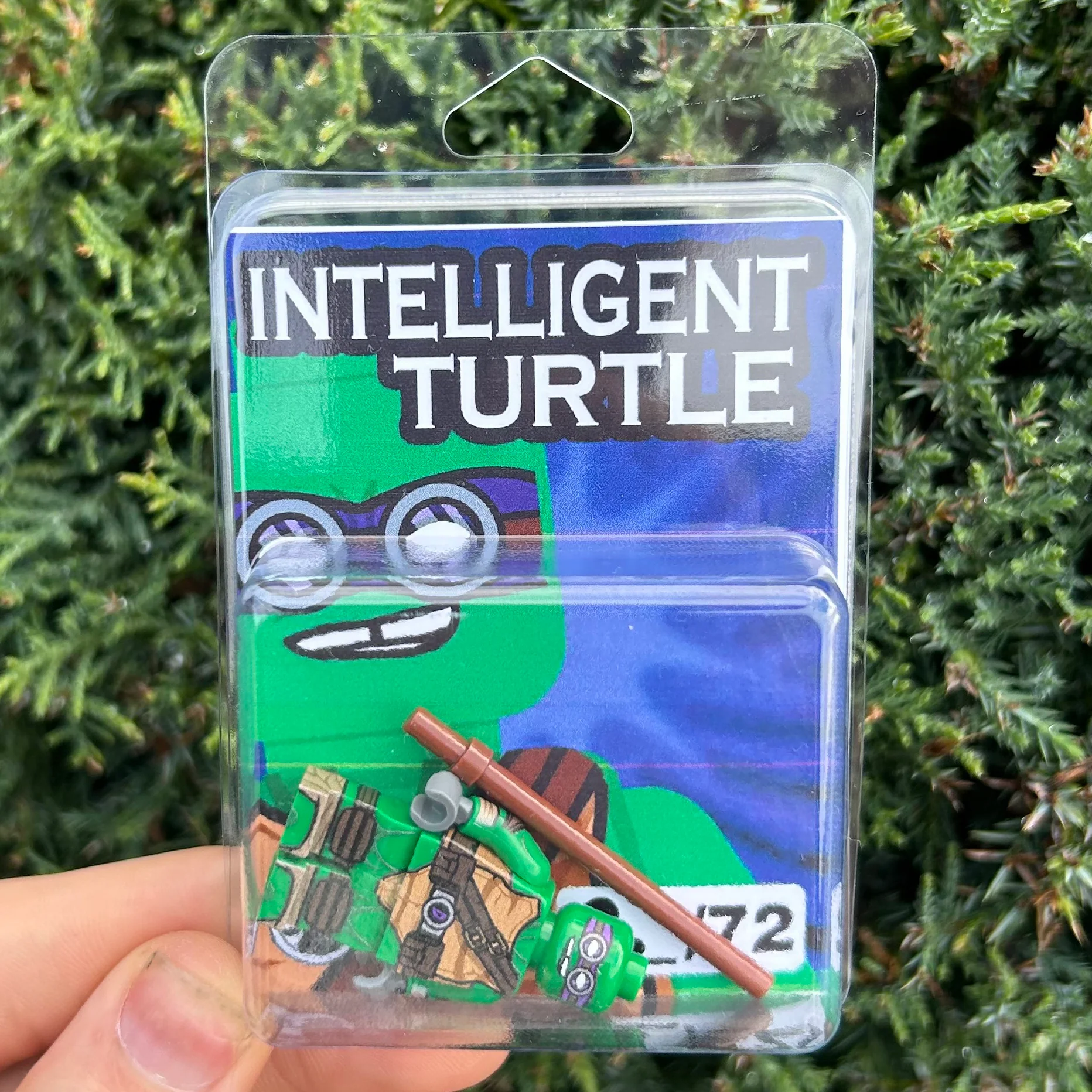 Intelligent Turtle - LIMITED EDITION 1/72 - Image 2